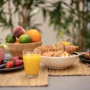 Studio Guimet Avec Terrasse Centre Lyon Oullins